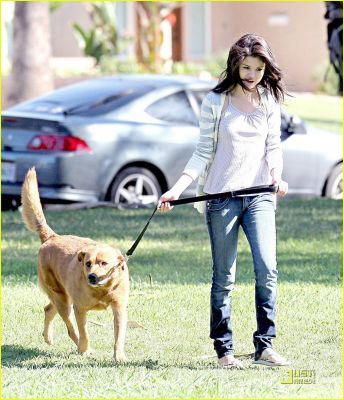 normalselenafan075bd74.jpg